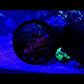 Flipper DeepSee Standard - Magnified Aquarium Viewer (4")