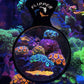 Flipper DeepSee Max - Magnified Aquarium Viewer (5")