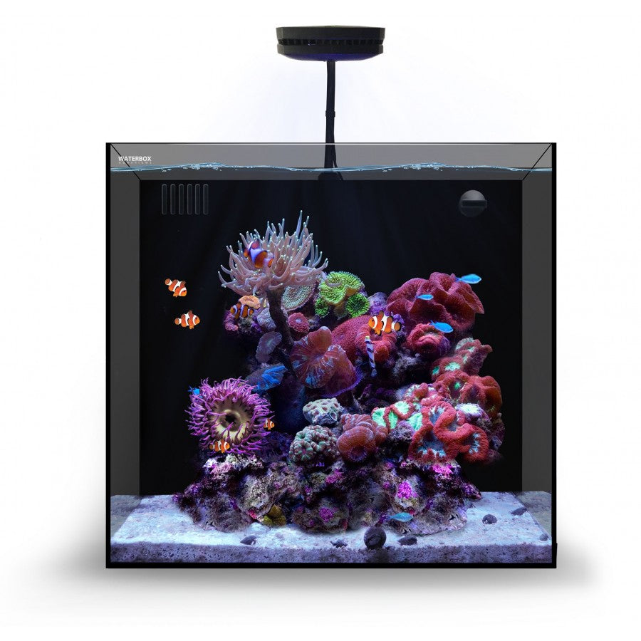 Waterbox 20 Cube