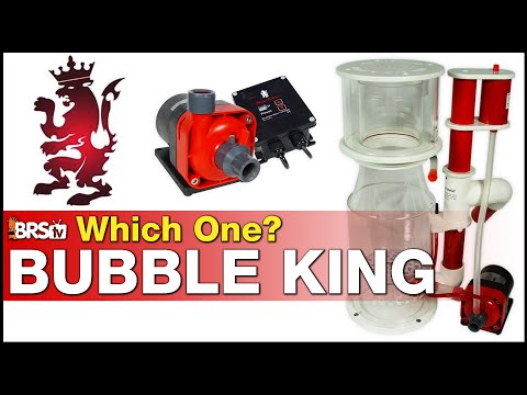 Bubble King Double Cone 180 + RD3 adjustable mini Speedy pump, Bubble king  protein skimmers