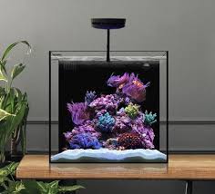 Waterbox Cube 20