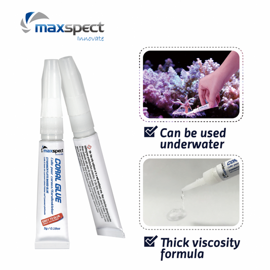 Maxspect Coral Glue stick 5g