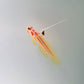 Orange-striped shrimpgoby (Stonogobiops yasha)